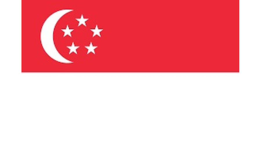 party-to-contact-for-cargo-release-singapore-party-to-contact-for